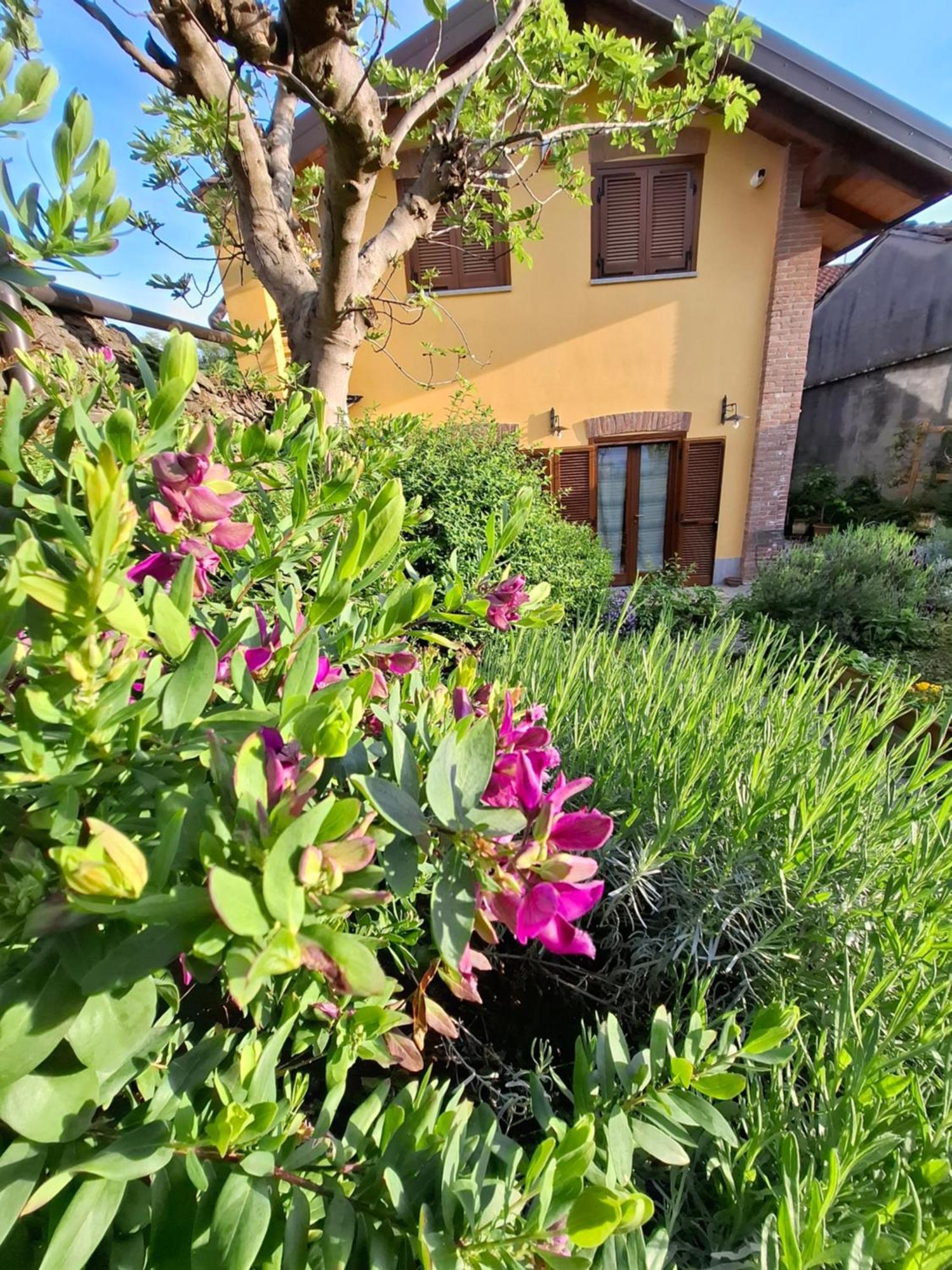 Casa Lavanda Rivoli  Exterior photo
